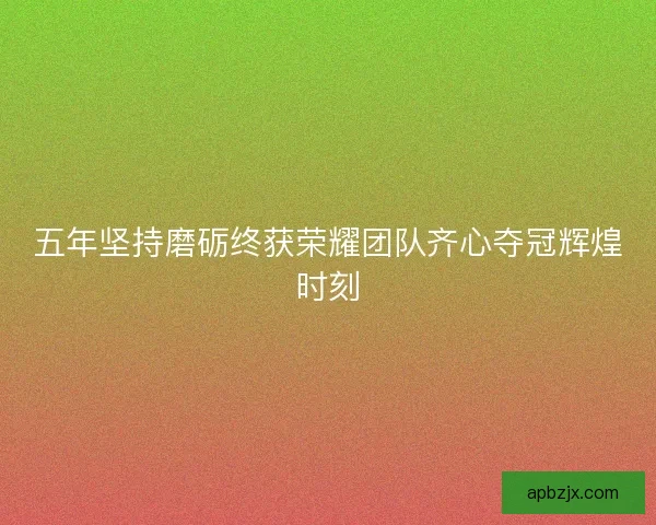 五年坚持磨砺终获荣耀团队齐心夺冠辉煌时刻